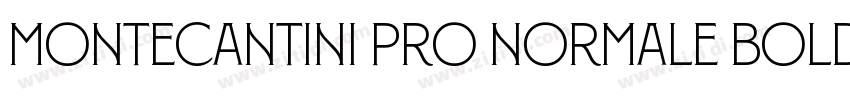 Montecantini Pro Normale Bold字体转换